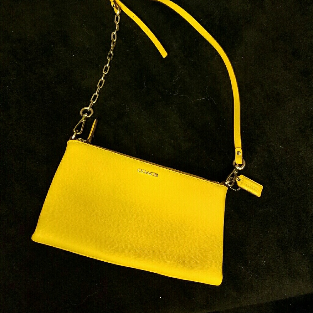 Coach everybody purse